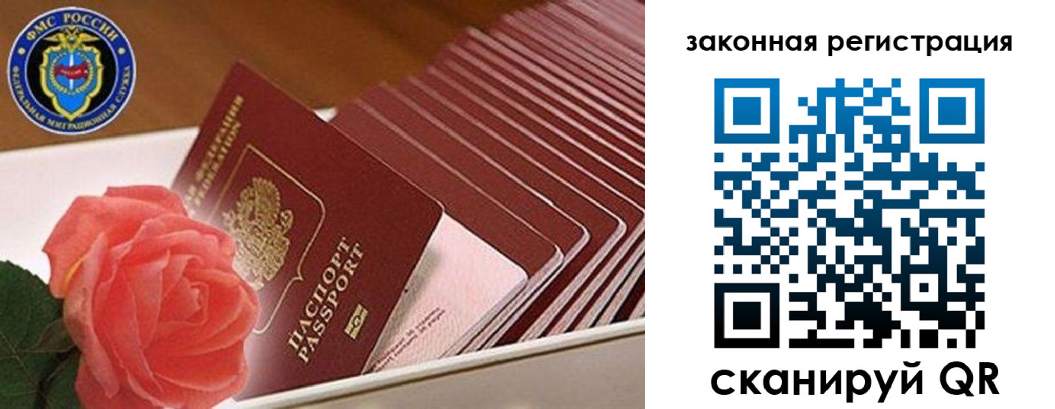 пропишу в квартире в Дальнегорске